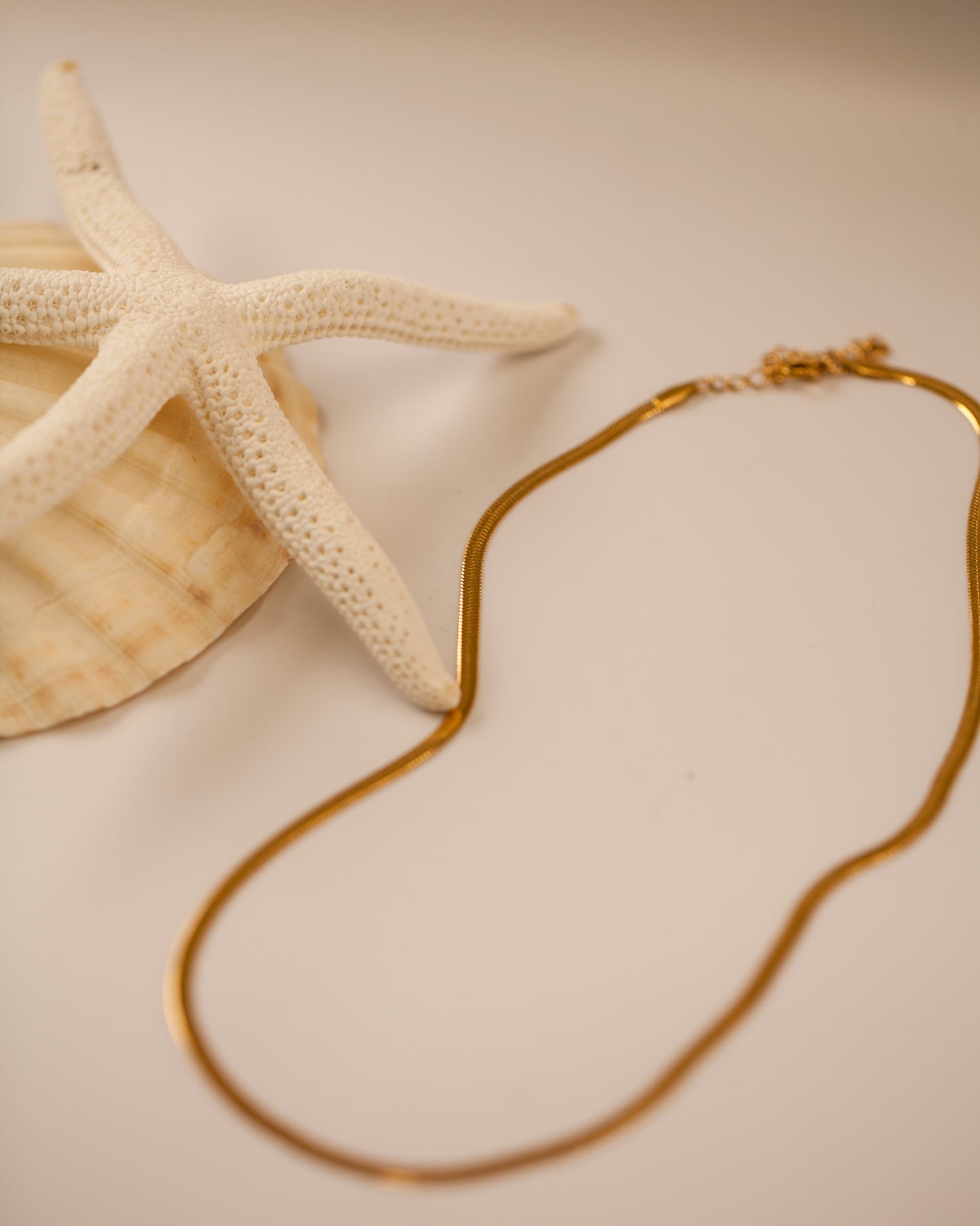 Herringbone Chain Necklace