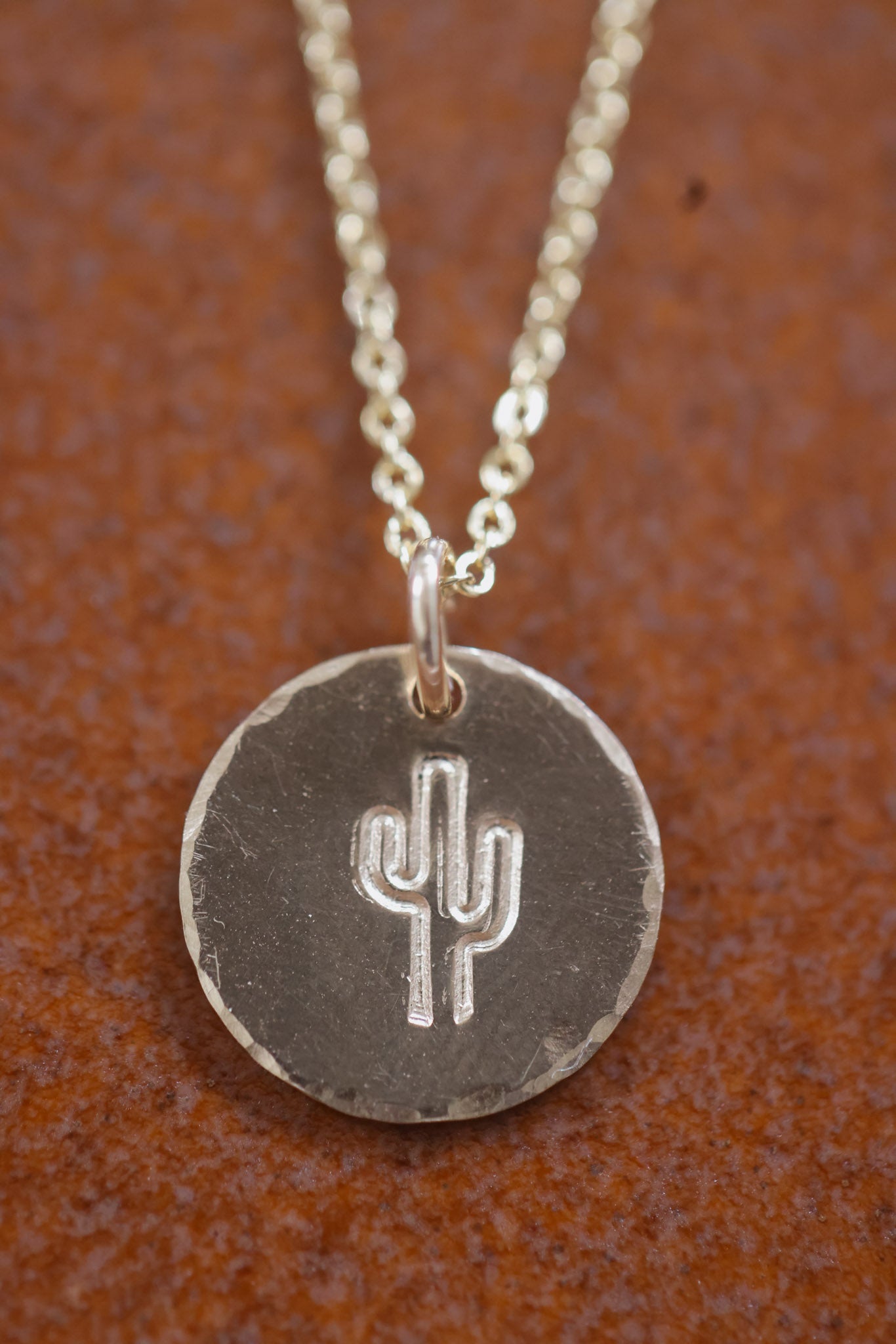 Desert Coin Necklace