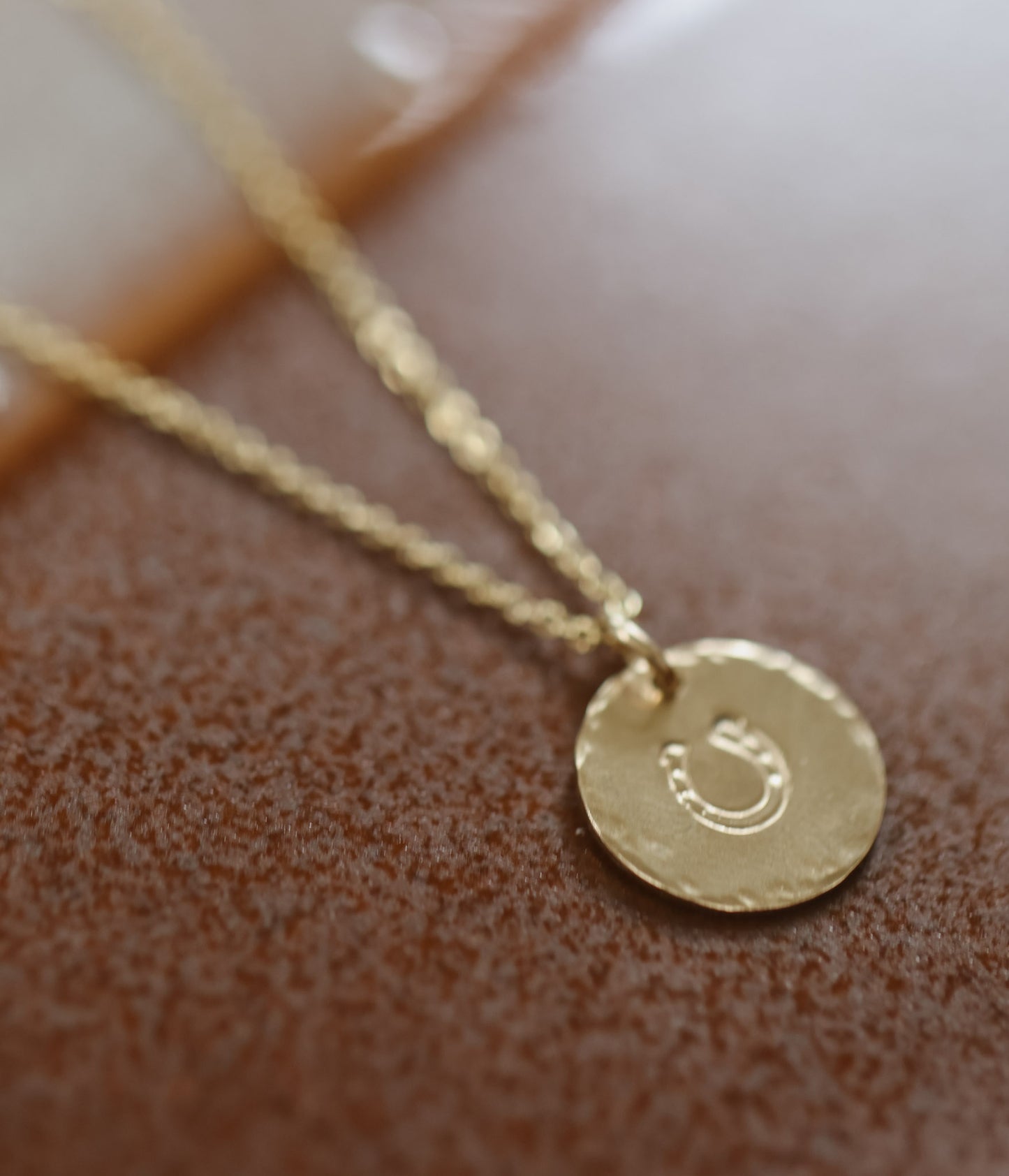 Desert Coin Necklace